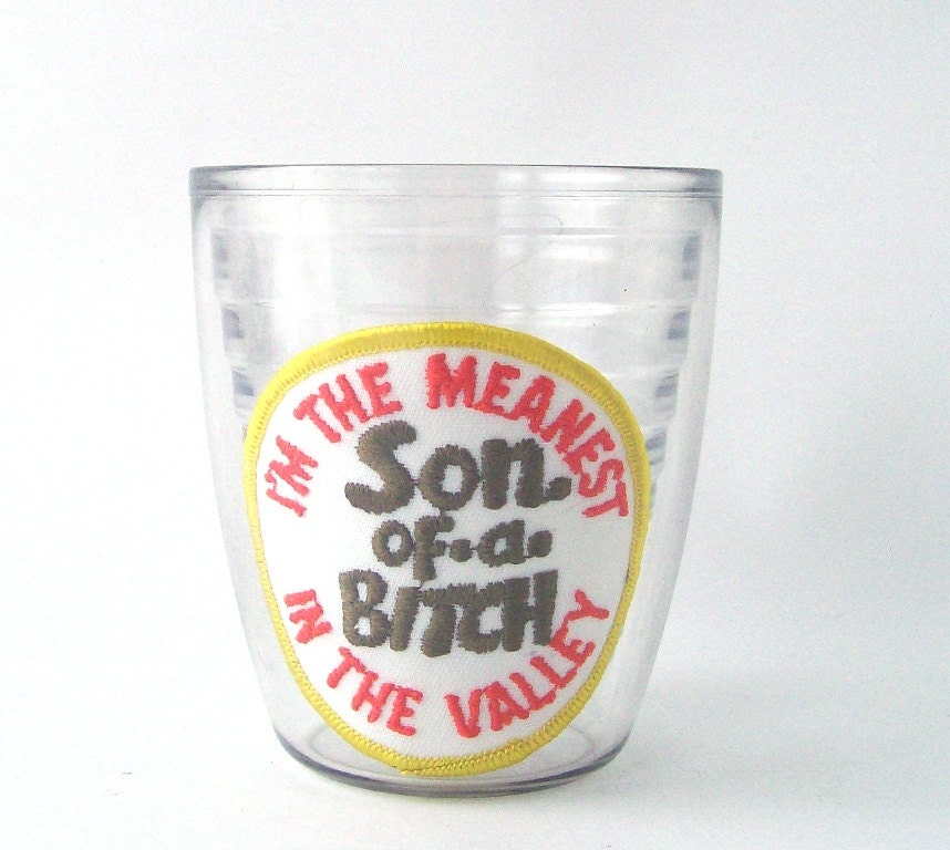 vintage insulated tumbler i'm the meanest son of a bitch in the valley serving cup entertaining barware kitchen housewares drinking beverage