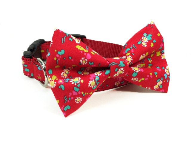 Dog Bow Tie Collar - Bloomsbury in Poppy