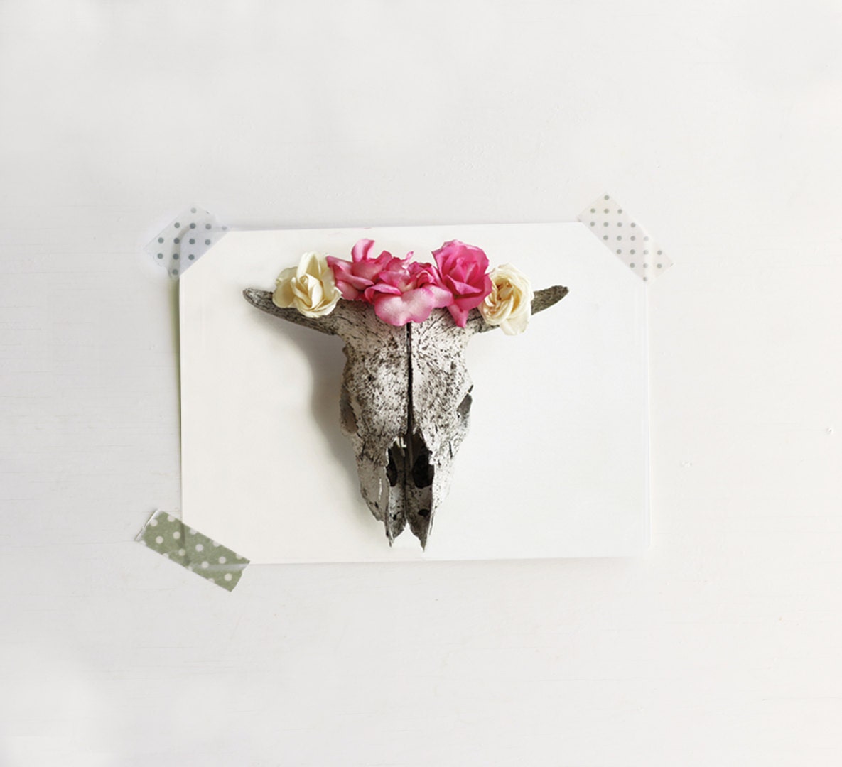 Flower Photography Skull with Pink Roses  Post Card Card  (2) with Metallic  Envelopes