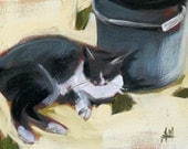 kitty rest original oil painting on canvas by moulton of cat resting by pail prattcreekart 6 x 8 inches