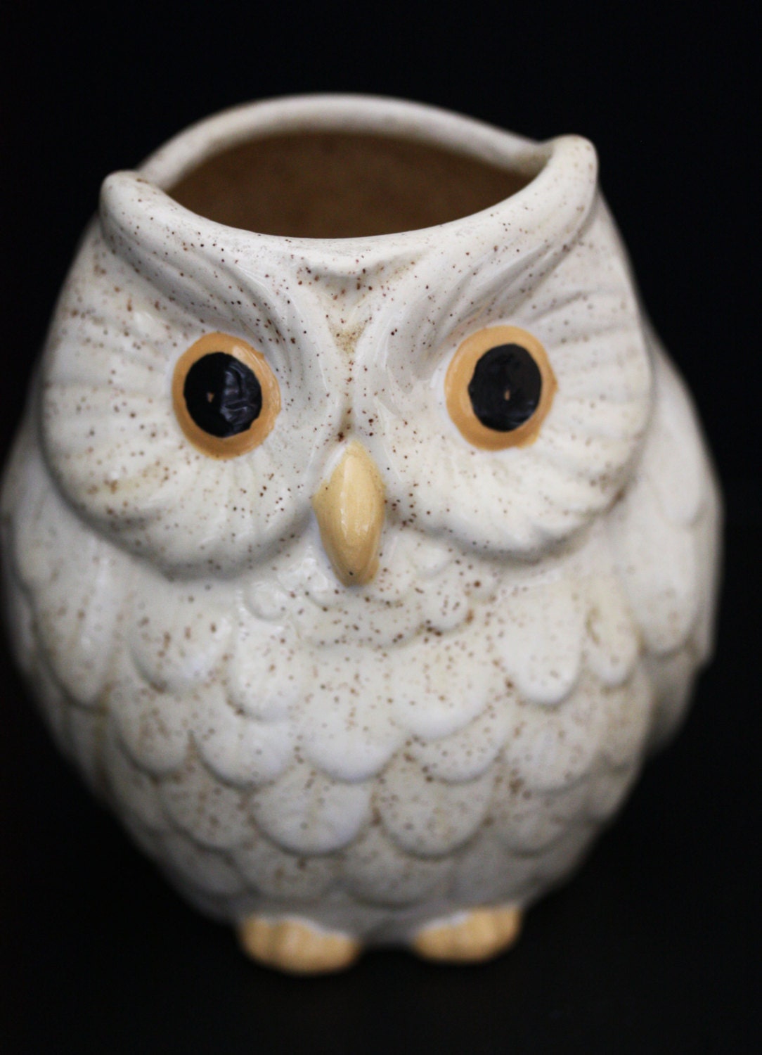 Vintage Handmade Ceramic Owl Planter 1979