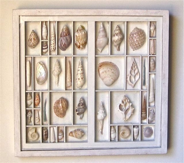 seashell art composition