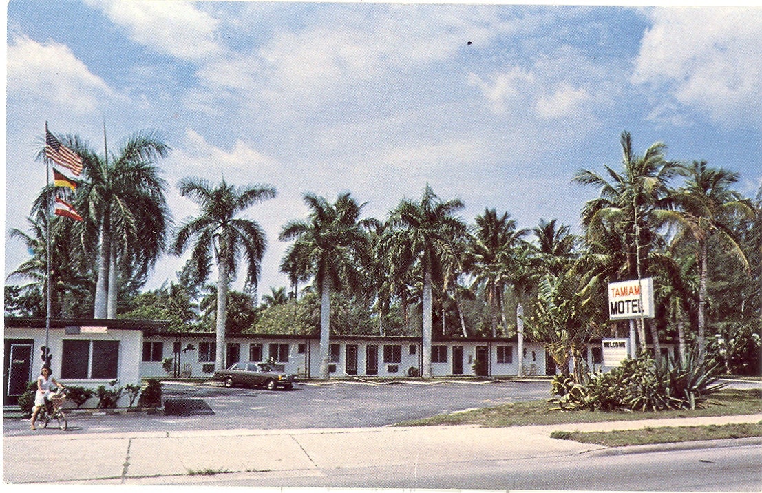 Vintage Florida Postcard - Naples - Naples-on-the Gulf - Tamiami Motel on the Trail