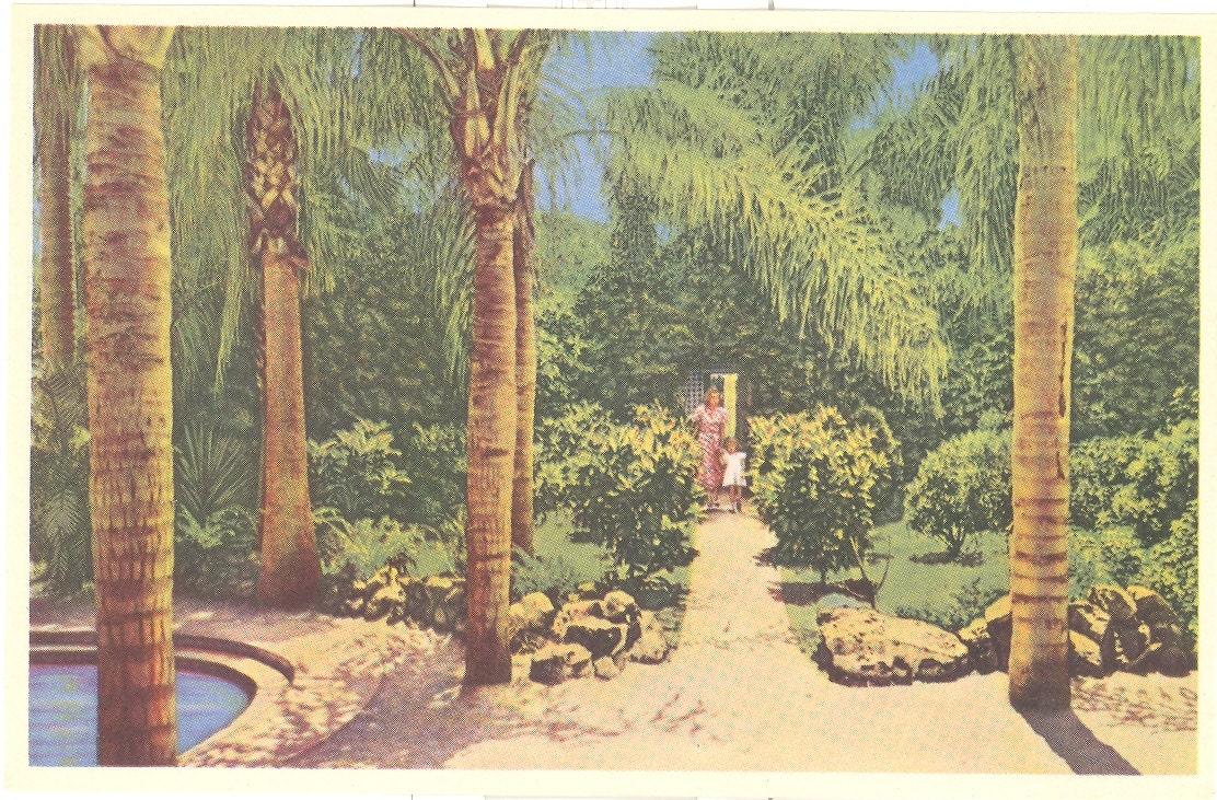 Vintage Florida Postcard - Indian Rocks - Woman Child Palm Gardens Garden Dining Room Indian Rocks Fruits near Largo