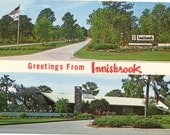 Vintage Florida Postcard - Tarpon Springs - Innisbrook Golfer's Paradise