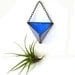 Stained glass air plant wall hanging bright sapphire blue modern unique vase