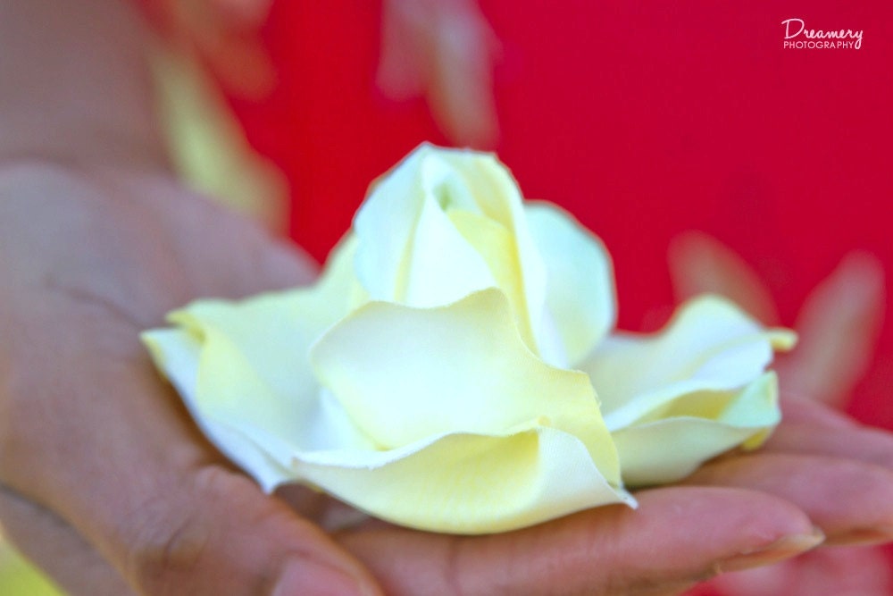 Canary Yellow Rose Hair Flower