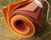 9x12 Wool Felt Sheets - The Sonoma Sunset Collection - 8 Sheets of Felt
