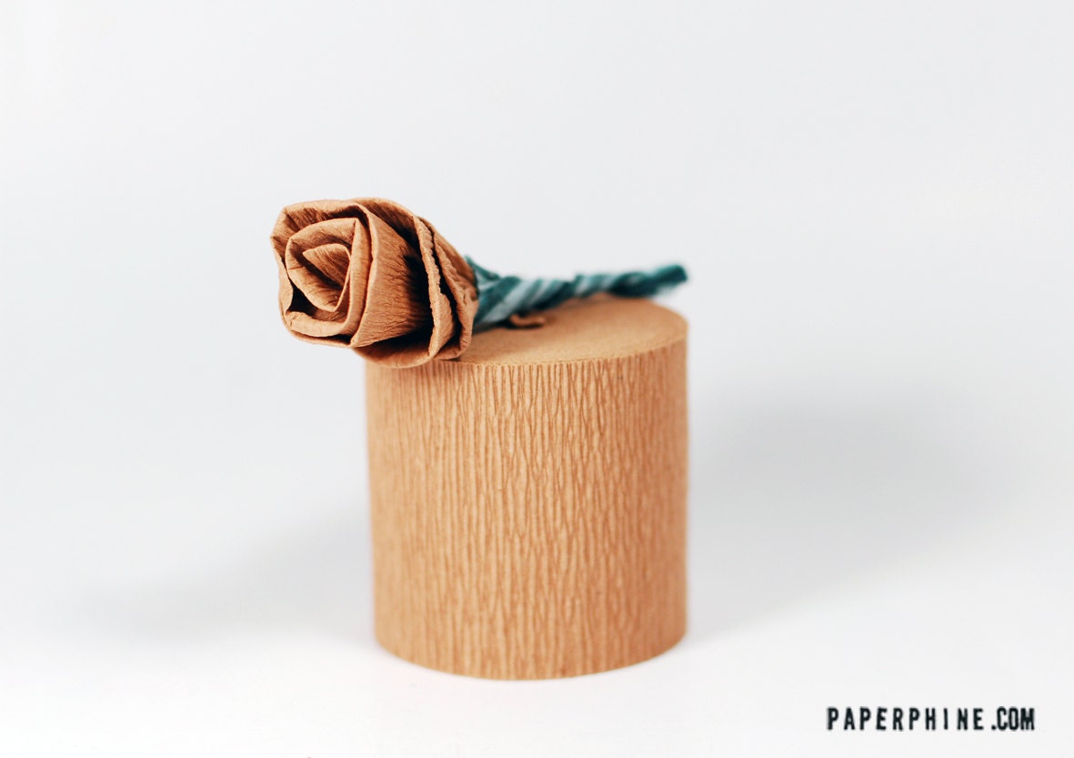 Kraft Crepe Paper Streamers - for Party Decorations, Crafting and more - PaperPhine
