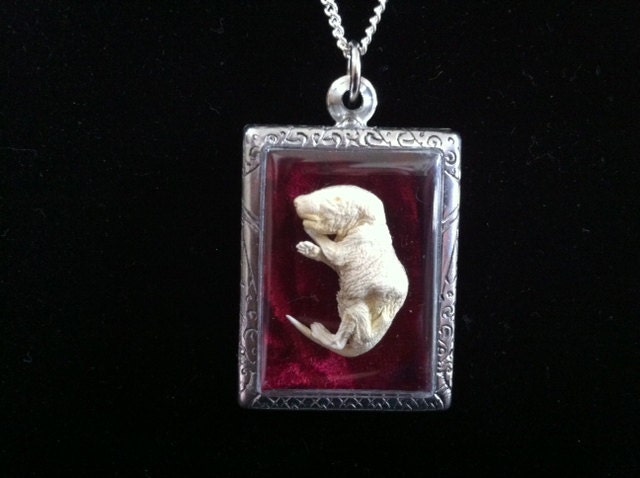 Memento Mori Necklace, Mummified Fetal Mouse Pendant, Mummy Fetus Jewelry