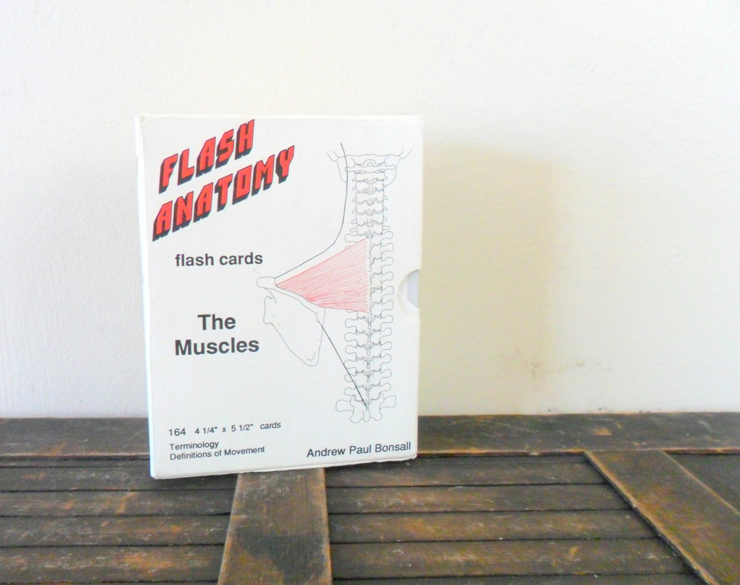 vintage 1980s medical flash anatomy flash cards - muscles - body - learning