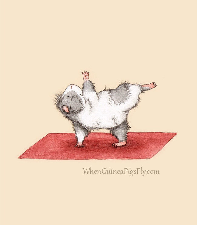 Yoguineas - Half Moon - Cute Guinea Pig Yoga Art Print