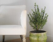 Aged Terracotta Planter