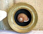 Florentine Shadowbox
