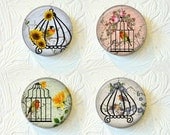 Magnet Set  Birdcages Birds and Flowers  "Buy 3 get 1 Free"  281M