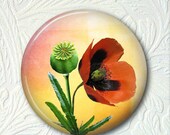 Pocket Mirror Floral Poppies Buy 3 get 1 Free 389