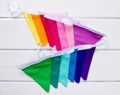 Good Will Bunting Rainbow