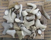 Deer Antler Scraps