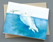 Polar Bear Dive Notecard