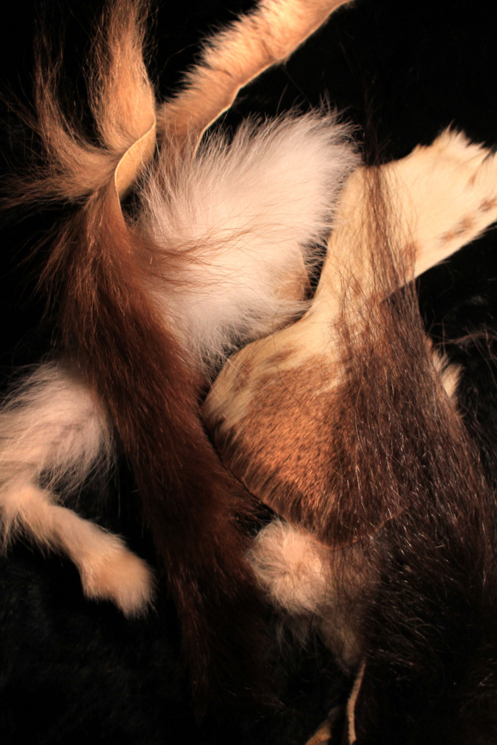 GRAB BAG of Various Fur Scraps