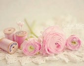 Pink Ranunculus & Thread - 8 x 10 print