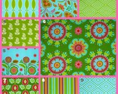 Modern Garden in Watermelon (Baby Bedding Crib Set)