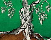 Rooted Tree