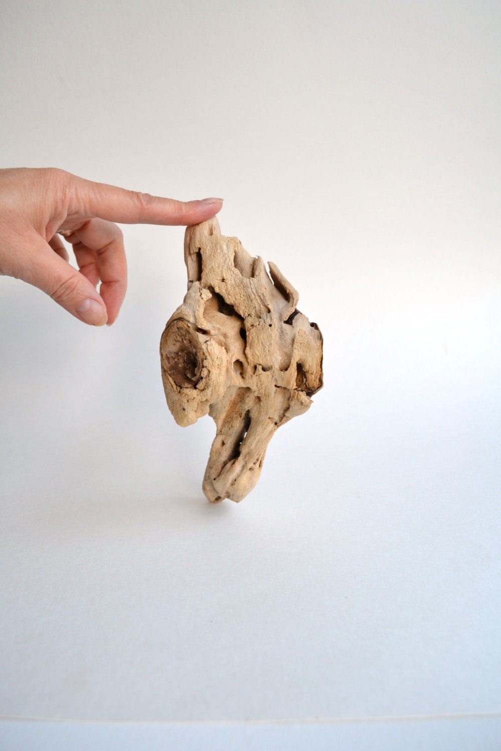 1 Unique Driftwood piece for craft projects, aquarium or home decor