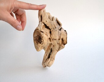 1 Unique Driftwood piece for craft projects, aquarium or home decor