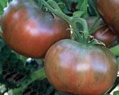 Black Master Heirloom Tomato Seeds