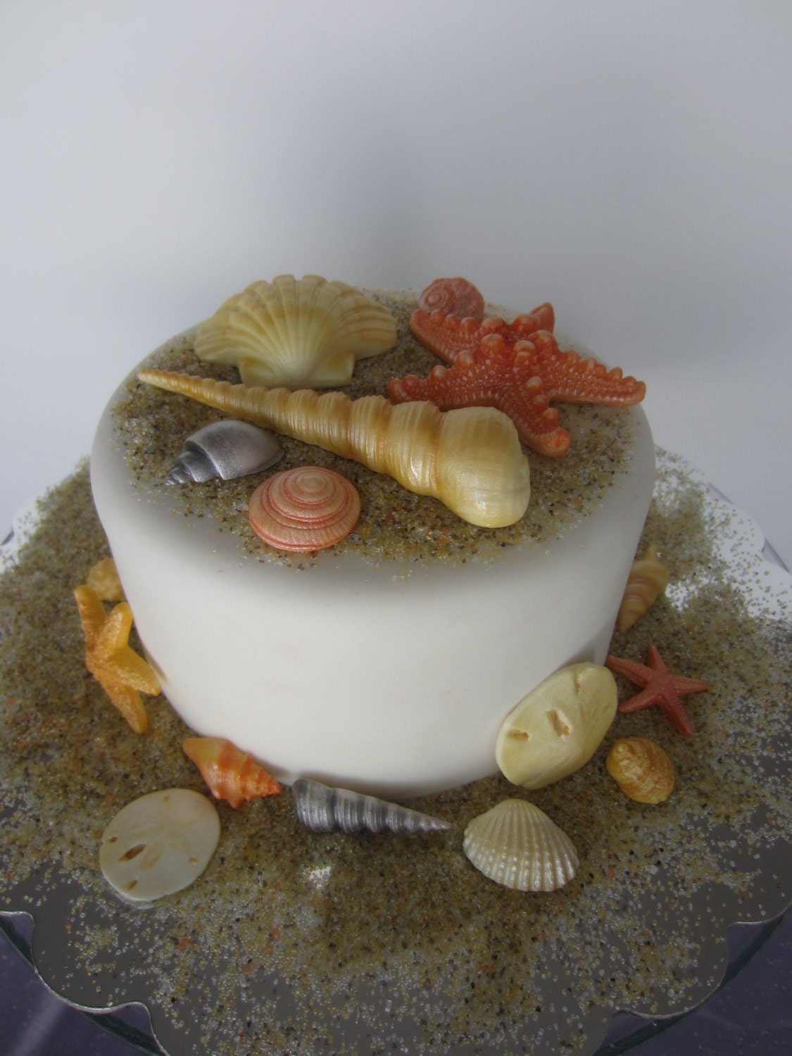 edible sea shells with sand set of 18 natural color