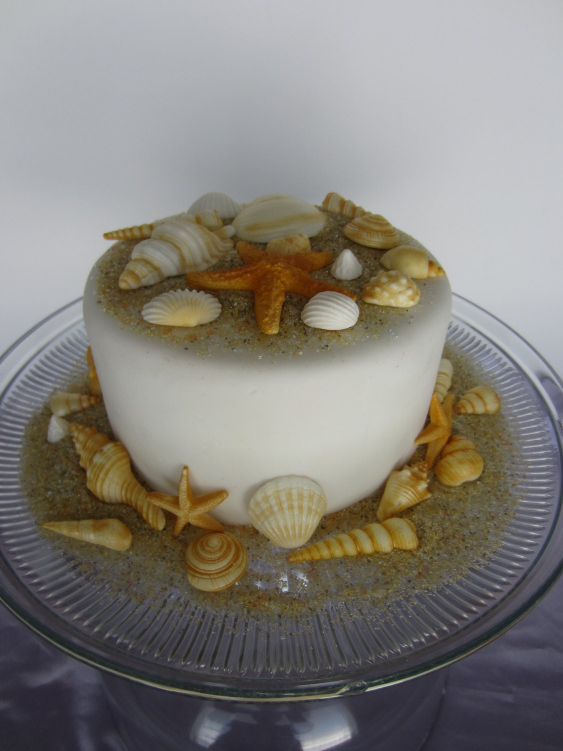 edible sea shells with sand natural color set of 34