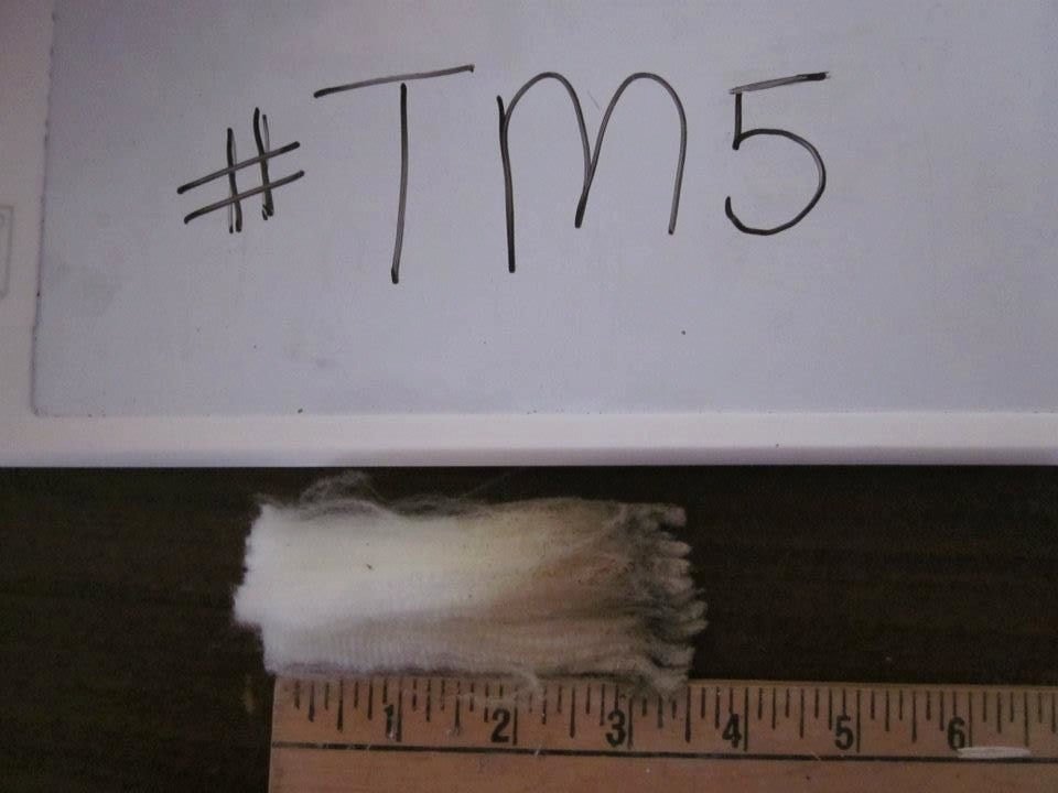 Targhee Merino Raw Unwashed Skirted Wool Fleece TM5
