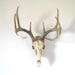 Vintage Deer Antlers Wall Hanging