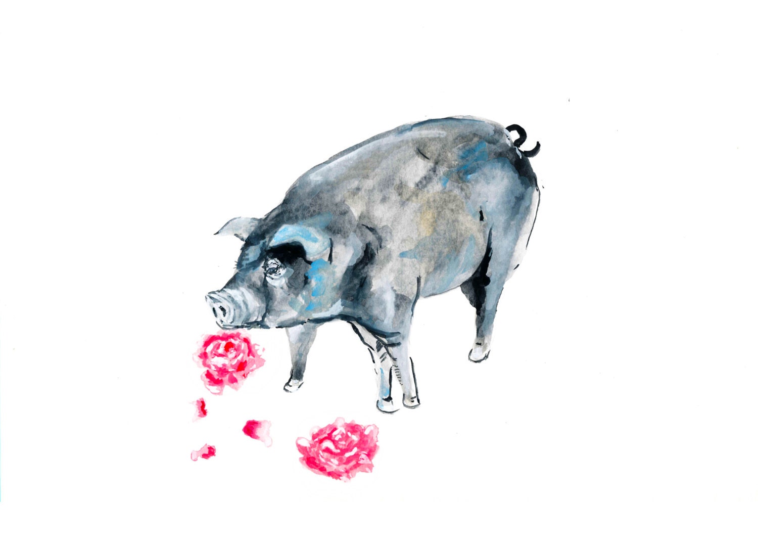 Peony Pig 2, Print of Original Drawing