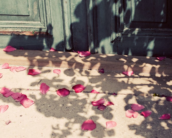Crimson rose leaves - fine art photography print -  summer vintage wodden feminine red blue green turqouise rose leaves on the ground