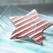 Brooch Shawl Scarf Pin / Red and White Striped Star