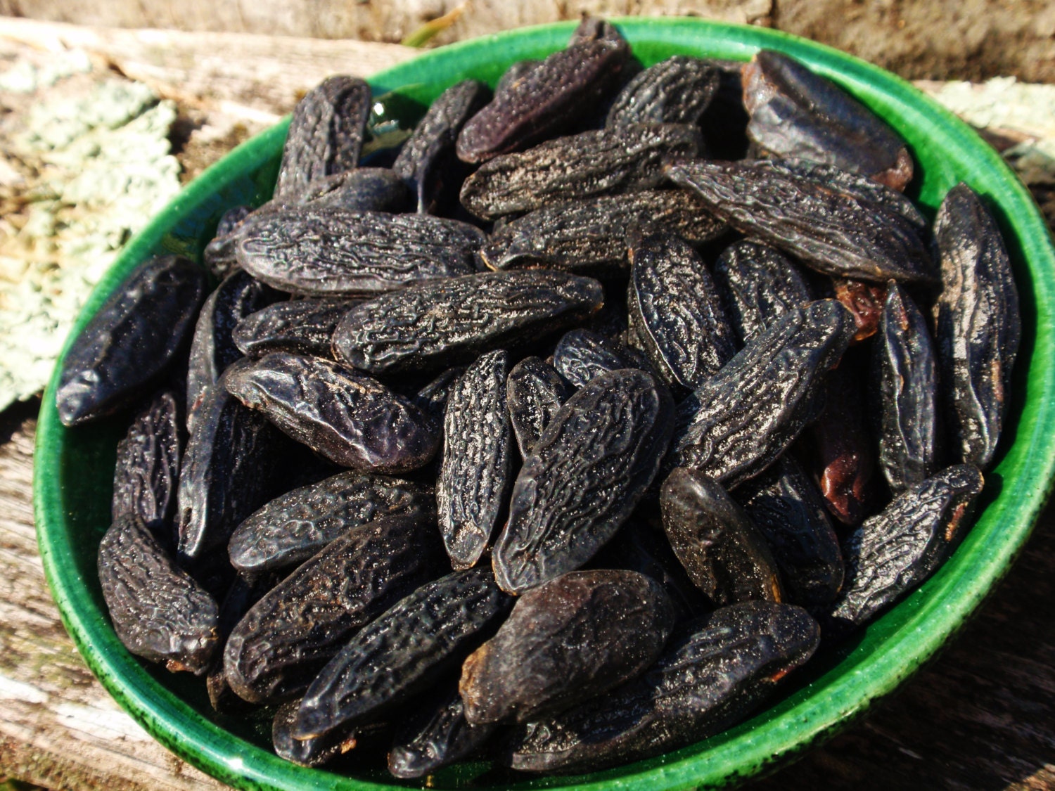 TONKA BEANS Certified Organic - Love, Money, Courage, Wishes