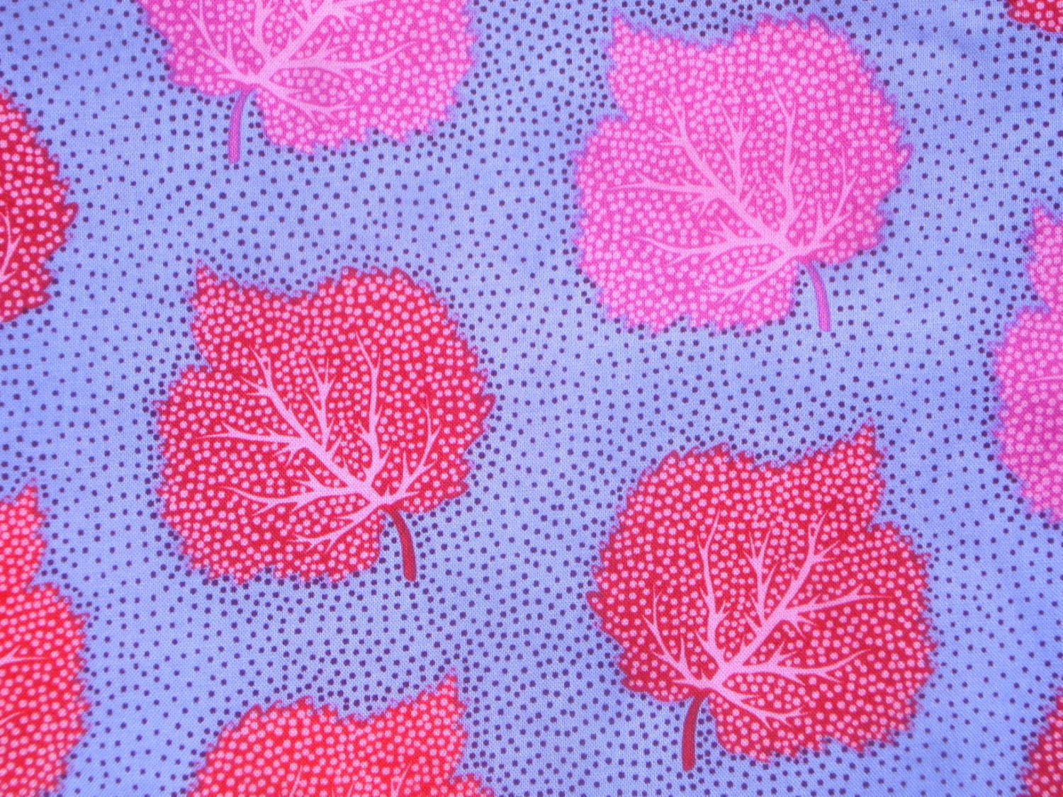 Kaffe Fassett Lille collection Dotted Leaves Rowan Fabrics FQ or more