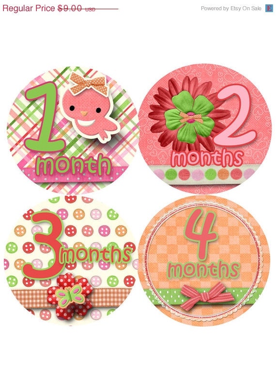 SALE Monthly Onesie Stickers...Waterproof..12 different.Bright Flowers, Birds, Butterflies...Super Cute....Origina Seller