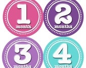 SALE Monthly Onesie Stickers...Waterproof... A color for each month Girl...Wear with any color onesie...