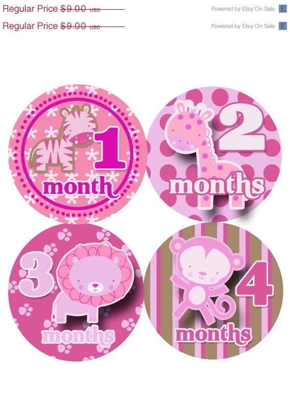 Baby Month Stickers Baby Girl Monthly Onesie Stickers Monthly Onesie Sticker Girl Baby Shower Gift Photo Prop Baby Milestone