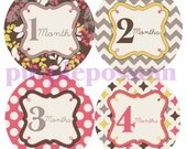 Monthly Onesie Stickers Baby Girl Milestone Sticker Brown Grey Pink Floral Baby Month Stickers TOP Seller Monthly Baby Sticker