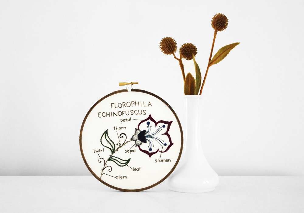 Botany Study: Florophila Echinofuscus Embroidery Hoop Art of Botanical Flower Diagram, Teal Blue Flower Nature Study in 6" Hoop