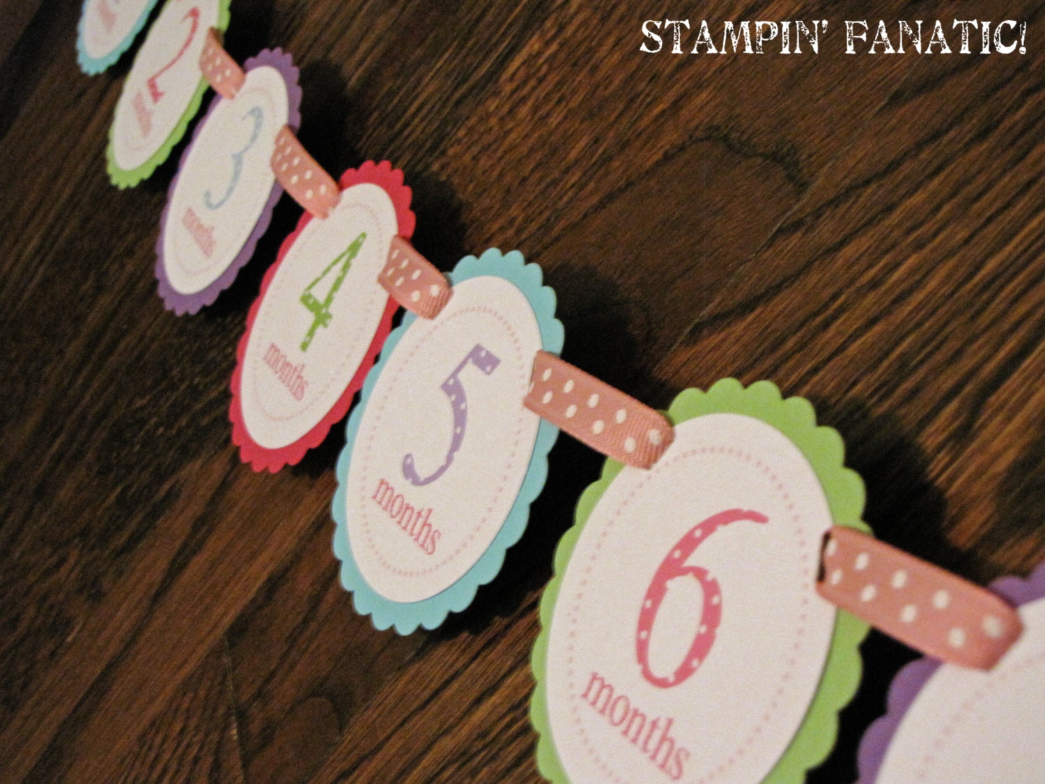 Polka Dot Banner: Just Born/0-12 mos Picture Banner. First Birthday Banner. Polka Dot Photo Banner. Il_570xn