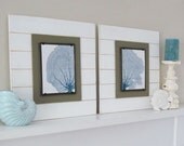Sea Fan Wall Art Set of 2 White Framed 8x10 Xtra Large 21X21