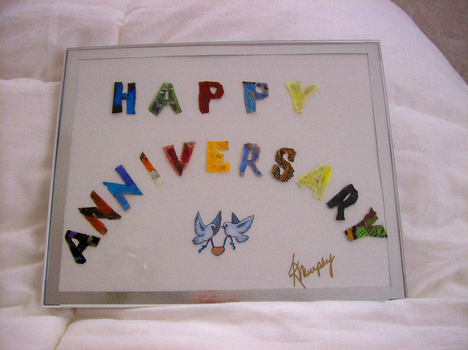 Real Butterfly Wings  Framed "  Happy Anniversary" Collage