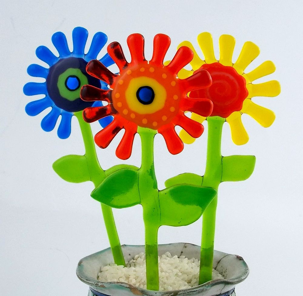 everlasting garden flowers