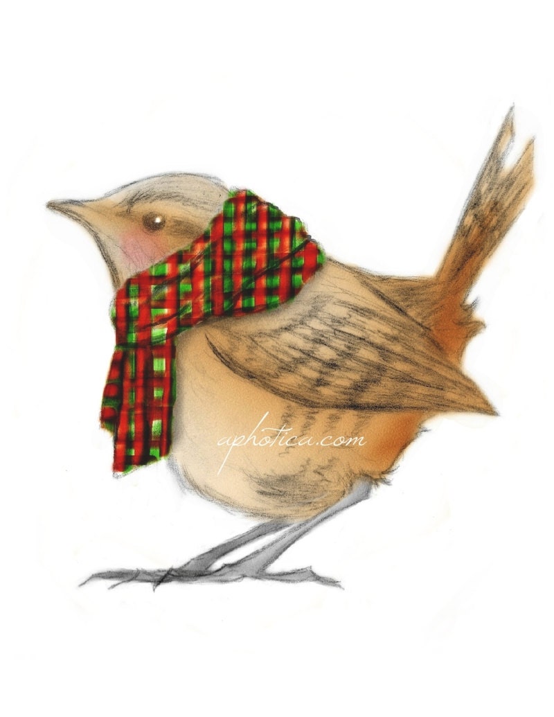 wren wearing a scarf original art card