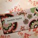 SIX Solid Fabric Envelopes (pink or brown)  with Velcro and Designer Carrier